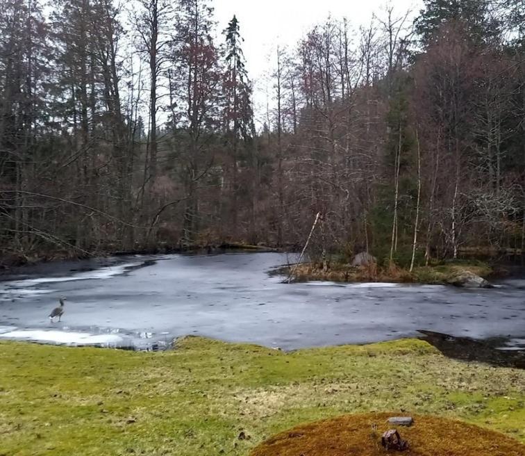 Gaeststuga I Vacker Natur, Bastu, Bubbelpool Sommartid Och Gratis Parkering Naera Ulricehamn Och Lassalyckan, Guesthouse With Nice View With Sauna And Free Parking Close To Dalsjoefors And Fishing Borås Exterior photo
